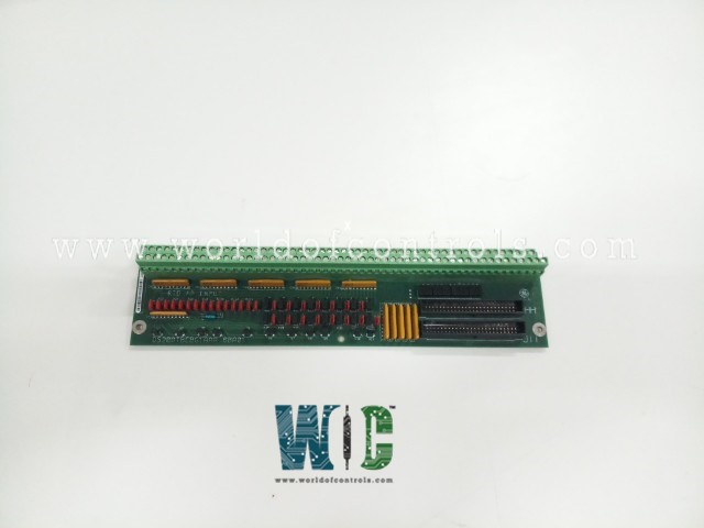 DS200TBCBG1AZZ - Termination Analog Card
